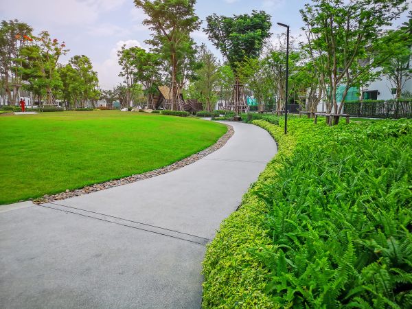 Cement Walkway Service in Pataskala