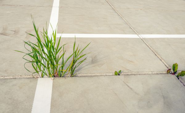 Concrete Parking Installation in Pataskala